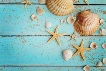 summer seashells on sand