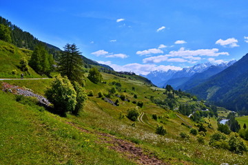 Fototapeta na wymiar Swiss Alps-view of the Guarda