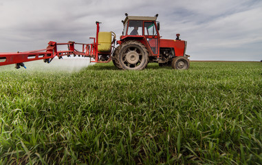Naklejka premium Tractor spraying pesticides on wheat field with sprayer at spring
