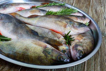 A pile of fresh raw fish on a tray. Close-up. Carp. Fresh catch.