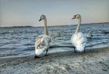 Patrząc w dal © Karolina