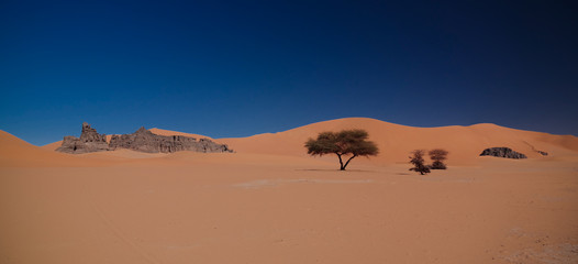 Fototapeta na wymiar Landscape of Sand dune and sandstone nature sculpture at Tamezguida in Tassili nAjjer national park, Algeria
