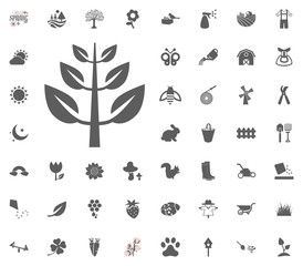 Leaf icon. Spring vector illustration icon set.