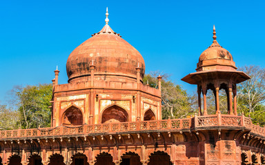Fototapeta na wymiar Tomb of Fatehpuri Begum near Taj Mahal in Agra, India