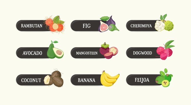 Collection of labels with delicious ripe fresh juicy exotic tropical fruits and their names. Bundle of tags with tasty raw vegan food isolated on white background. Bright colored vector illustration.