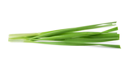 Garlic chives on white background