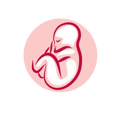 Fototapeta premium Vector embryo illustration isolated on white. New life beginning drawing.