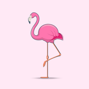 Vector illustration of pink flamingo