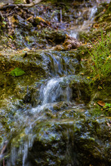Miniwaterfall in forest