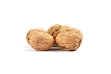 Walnüsse in Schale auf weiss