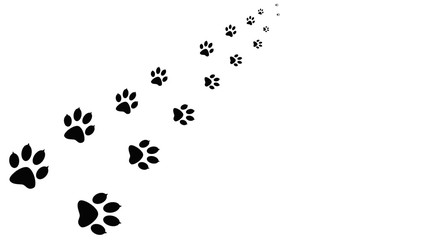 Black paw prints walking the animal. Traces isolated on background. 