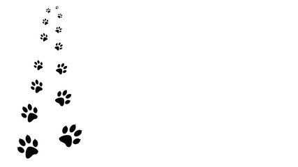 Obraz premium The paw prints of a walking animal. Traces isolated on background. 