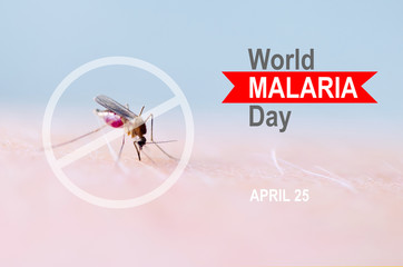 Stop, prohibit sign on mosquito bite human skin, Human blood in insect stomach. WORLD MALARIA DAY.