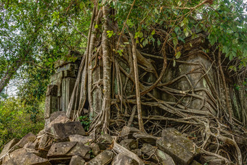 Cambodia Angkor Complex 360
