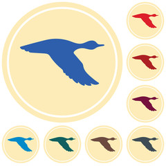 vector silhouette flying duck