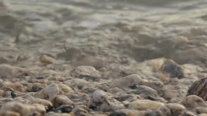 Waves calmly washing up rocky beach close up view