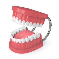 3d render of jaw model with teeth over white