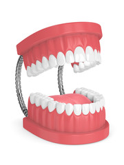 3d render of jaw model with teeth over white