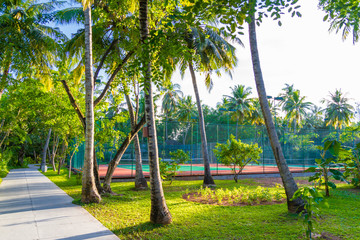 Tennis court on a tropical island - sport background