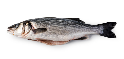Naklejka premium Raw Seabass