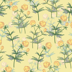 Seamless vector floral pattern. Floral background of yellow Ranunculus in vintage style.