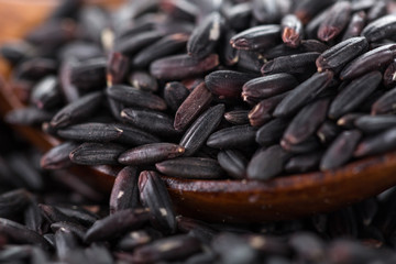 Black rice with spoon, Closeup.