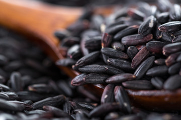 Black rice with spoon, Closeup.