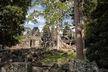Temple in the jungle - Angkor Wat - Cambodia