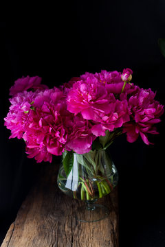 burgundy, red, bright red peonies - bouquet on a black background