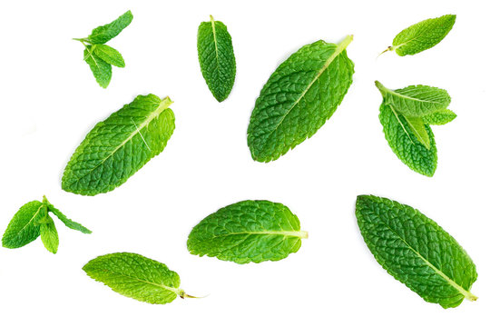 Fresh mint leaves pattern isolated on white background, top view. 