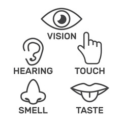 Icon human senses: vision, smell, hearing, touch, taste. Icons sense nose, ear, eye, hand vector