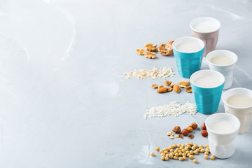 Assortment of organic vegan non diary milk