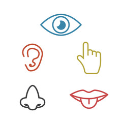 Icon human senses: vision, smell, hearing, touch, taste. Icons sense nose, ear, eye, hand vector
