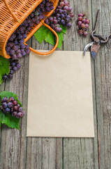 Basket with grapes on rustic wood with sheet of paper template in centre. Vertical wine making background. Top view
