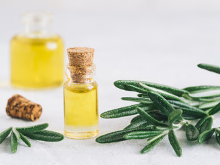 Rosemary oil. Rosemary essential oil oil in small glass bottle and branches of plant fresh rosemary on white background. Copy space for text.