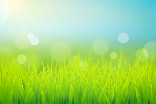 spring grass realistic illustration with dew drops and bokeh effect
