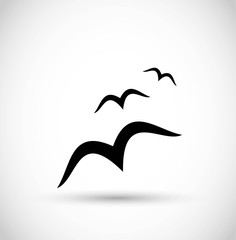 Seagull/ birds icon vector