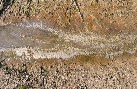 Water pollution: Polluted rivulet in the countryside in Eastern Thuringia