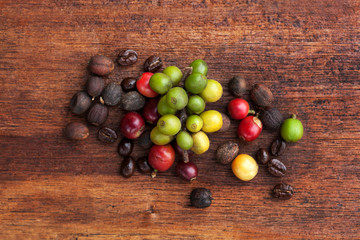 Coffea fruit and coffee beans.