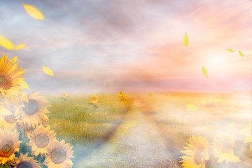 Dreamy sunflower field.