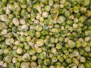 Fresh frozen broccoli, healthy diet food, closeup, selective focus