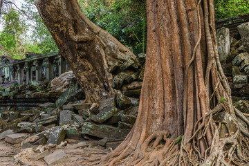 Cambodia Angkor Complex 360
