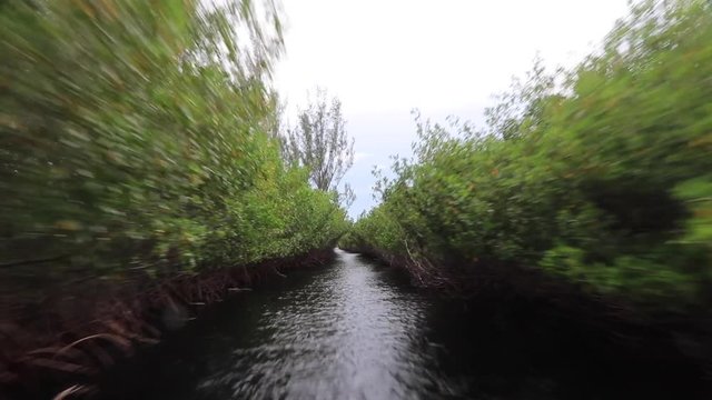 Everglades Airboat Tour
