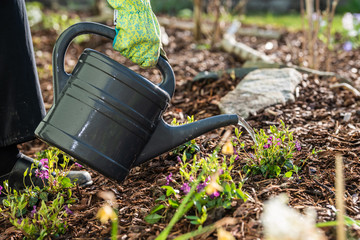 Gartenarbeit im Frühling