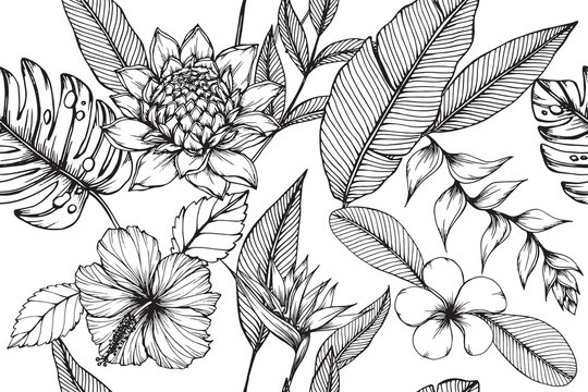 Hawaiian pattern seamless background with flower and leaf  drawing illustration. 