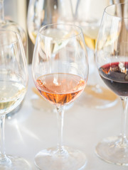 Wine tasting in Alentejo region, Portugal