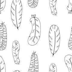 Hand drawn seamless pattern with Feathers. vector illustration.