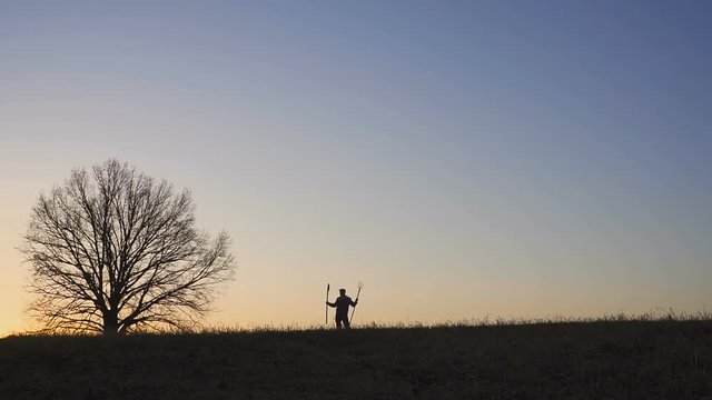 A satisfied farmer dances ib the field. Silhouette of a sunset or sunrise in field.