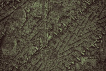 Mud texture or wet soil as natural organic clay and geological sediment mixture
