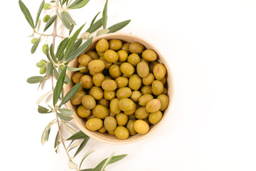 green olive and branch